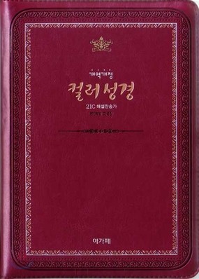 개역개정 큰글자 컬러성경&21C해설찬송가(대,합본,색인,지퍼)(15.5*21.5)(와인)