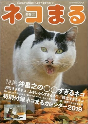 ͫު  Vol.37