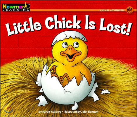 Little Chick Is Lost!