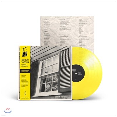 Beach Fossils — What a Pleasure 앨범 커버