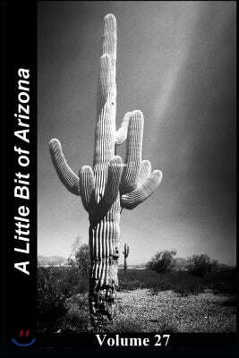 A Little Bit of Arizona: Volume 27