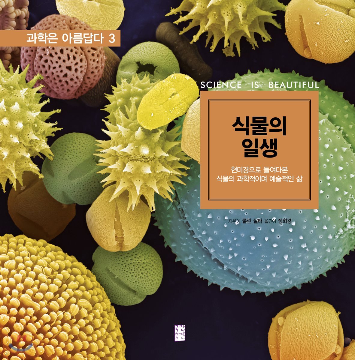 식물의 일생