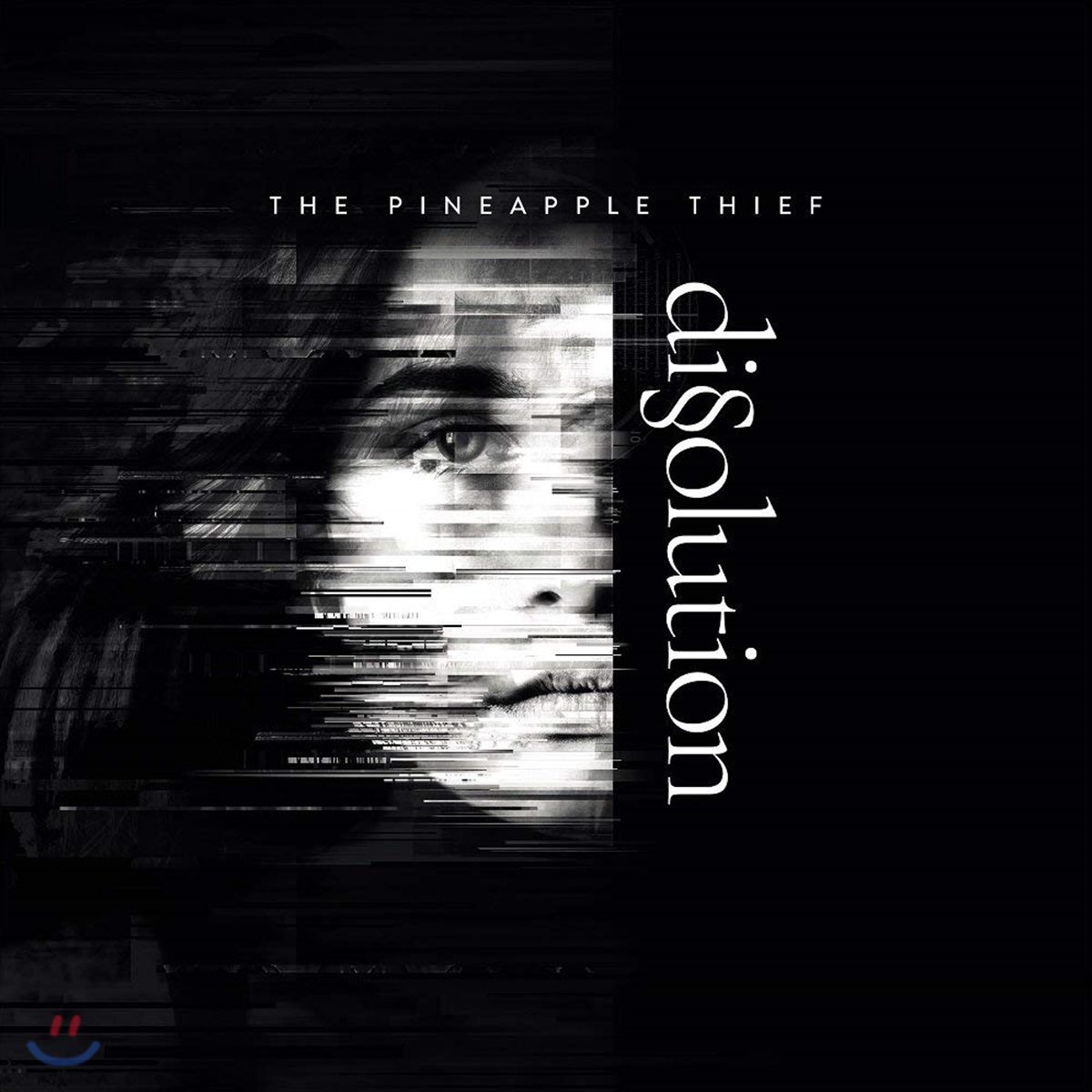 The Pineapple Thief (파인애플 씨프) - Dissolution
