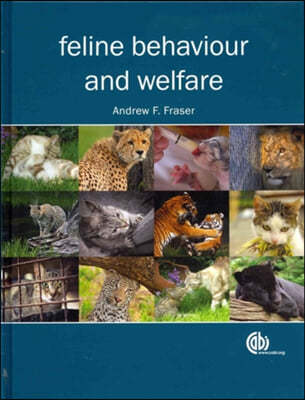 Feline Behaviour and Welfare