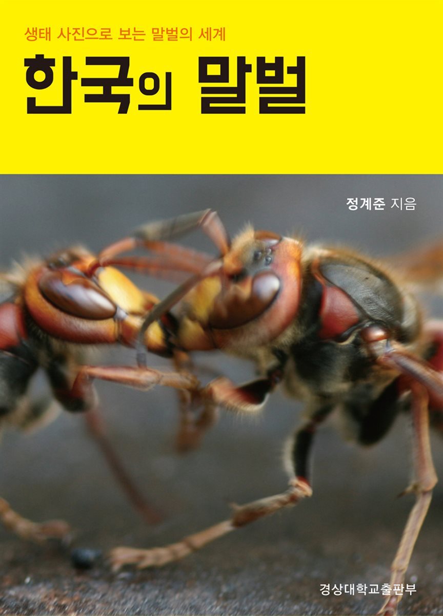 한국의 말벌