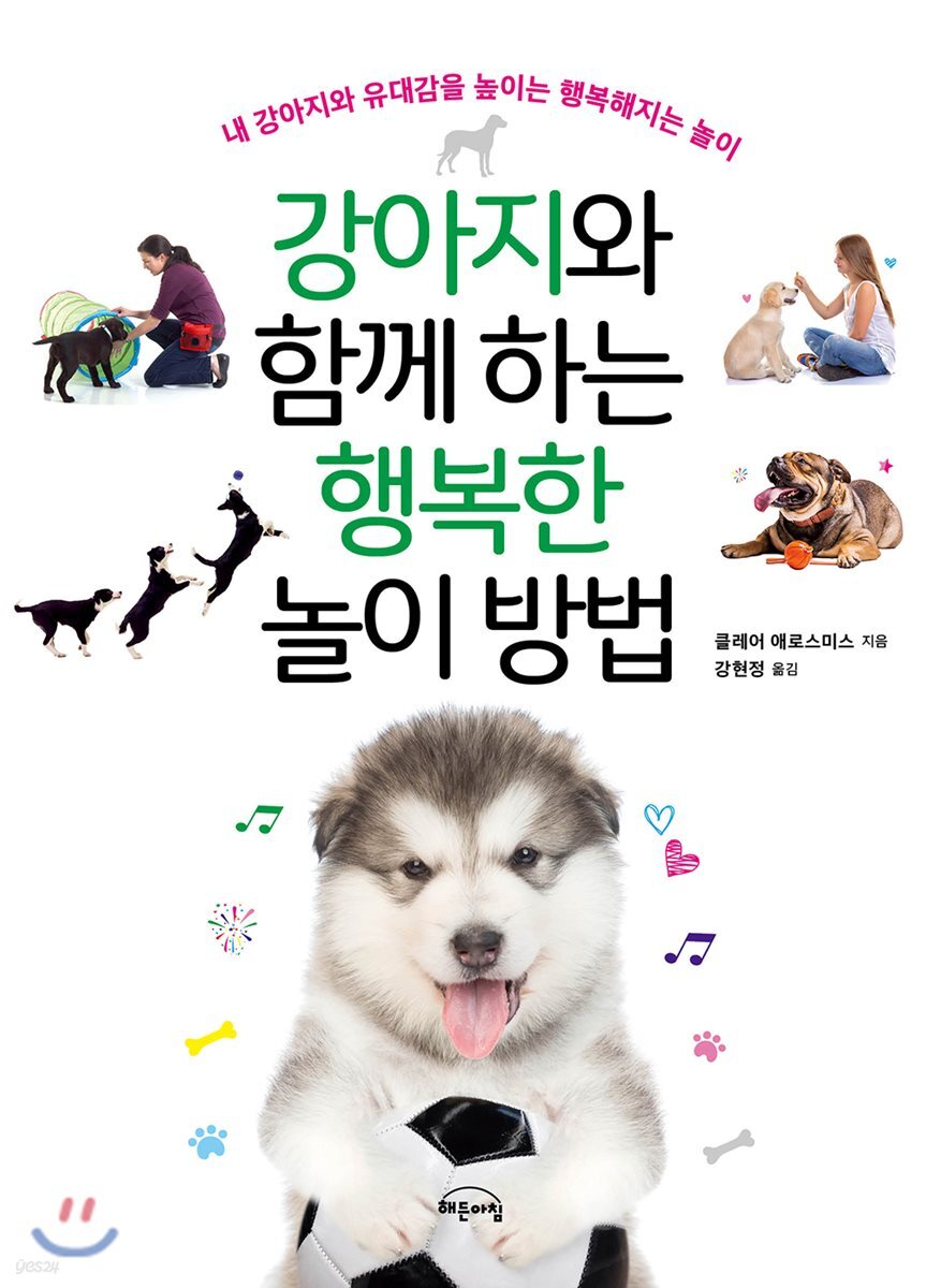 강아지와 함께 하는 행복한 놀이 방법