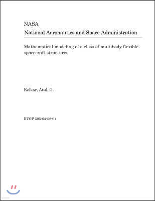 Mathematical Modeling of a Class of Multibody Flexible Spacecraft Structures