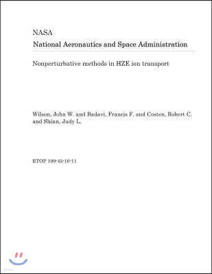 Nonperturbative Methods in Hze Ion Transport