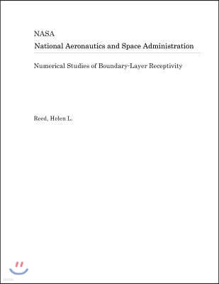 Numerical Studies of Boundary-Layer Receptivity