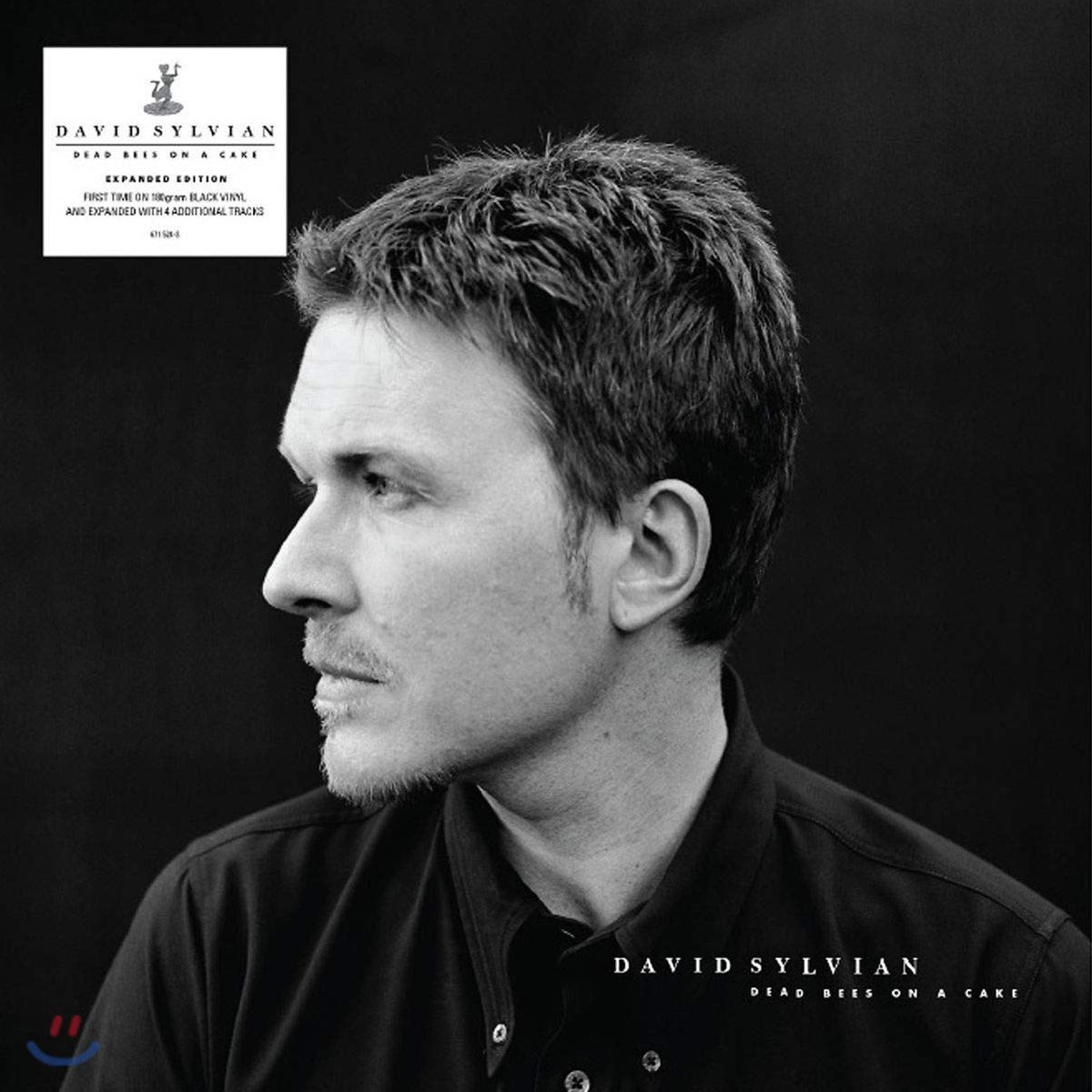 David Sylvian (데이비드 실비안) - Dead Bees On A Cake [2LP]