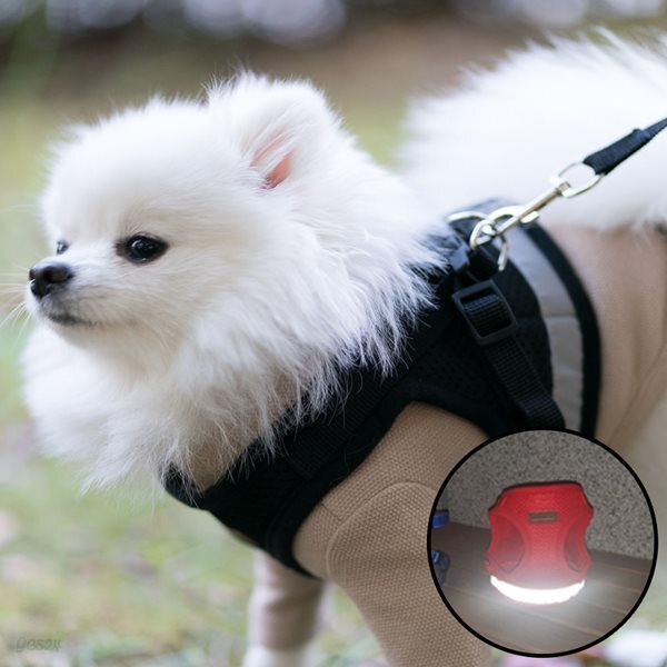 강아지 하네스 가슴줄 리드줄 블랙