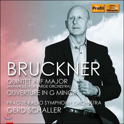 Gerd Schaller 브루크너: 오케스트라를 위해 편곡된 5중주곡 (Bruckner: Quintet in F Major [arranged for large orchestra])