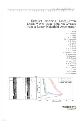 Ultrafast Imaging of Laser Driven Shock Waves using Betatron X-rays from a Laser Wakefield Accelerator