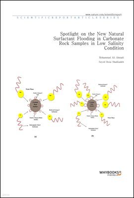 Spotlight on the New Natural Surfactant Flooding in Carbonate Rock Samples in Low Salinity Condition