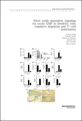 Nitric oxide dependent signaling via cyclic GMP in dendritic cells regulates migration and T-cell polarization