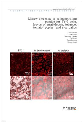 Library screening of cell-penetrating peptide for BY-2 cells, leaves of Arabidopsis, tobacco, tomato, poplar, and rice callus