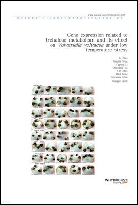 Gene expression related to trehalose metabolism and its effect on Volvariella volvacea under low temperature stress