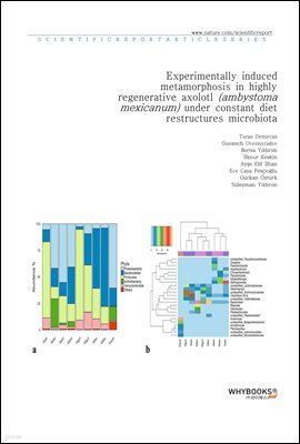 Experimentally induced metamorphosis in highly regenerative axolotl (ambystoma mexicanum) under constant diet restructures microbiota