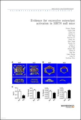 Evidence for excessive osteoclast activation in SIRT6 null mice