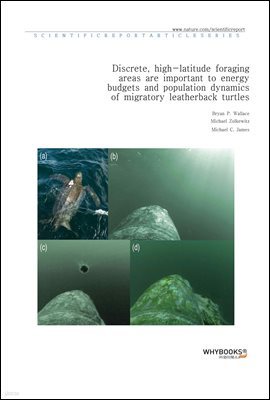 Discrete, high-latitude foraging areas are important to energy budgets and population dynamics of migratory leatherback turtles