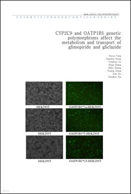 CYP2C9 and OATP1B1 genetic polymorphisms affect the metabolism and transport of glimepiride and gliclazide