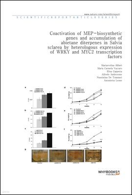 Coactivation of MEP-biosynthetic genes and accumulation of abietane diterpenes in Salvia sclarea by heterologous expression of WRKY and MYC2 transcription factors