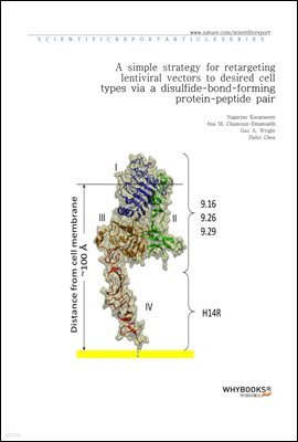 A simple strategy for retargeting lentiviral vectors to desired cell types via a disulfide-bond-forming protein-peptide pair