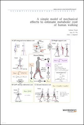 A simple model of mechanical effects to estimate metabolic cost of human walking