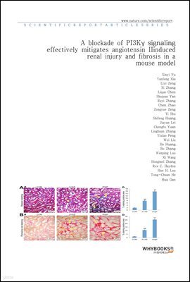 A blockade of PI3K signaling effectively mitigates angiotensin II-induced renal injury and fibrosis in a mouse model