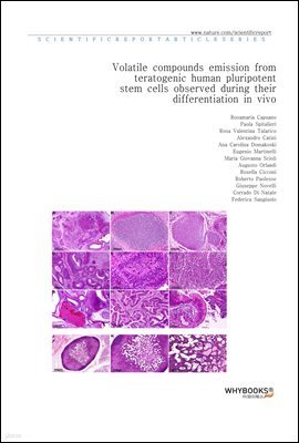 Volatile compounds emission from teratogenic human pluripotent stem cells observed during their differentiation in vivo