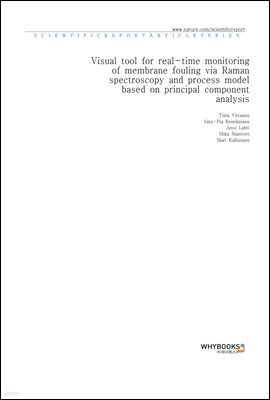 Visual tool for real-time monitoring of membrane fouling via Raman spectroscopy and process model based on principal component analysis