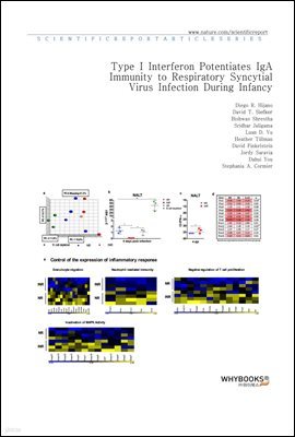 Type I Interferon Potentiates IgA Immunity to Respiratory Syncytial Virus Infection During Infancy