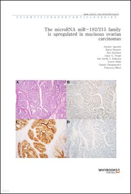 The microRNA miR-192215 family is upregulated in mucinous ovarian carcinomas