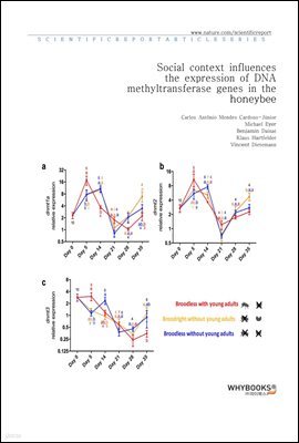 Social context influences the expression of DNA methyltransferase genes in the honeybee