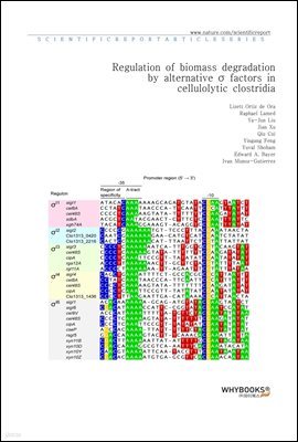 Regulation of biomass degradation by alternative  factors in cellulolytic clostridia