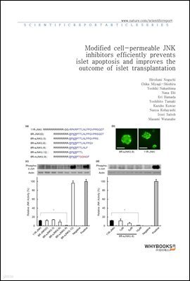 Modified cell-permeable JNK inhibitors efficiently prevents islet apoptosis and improves the outcome of islet transplantation