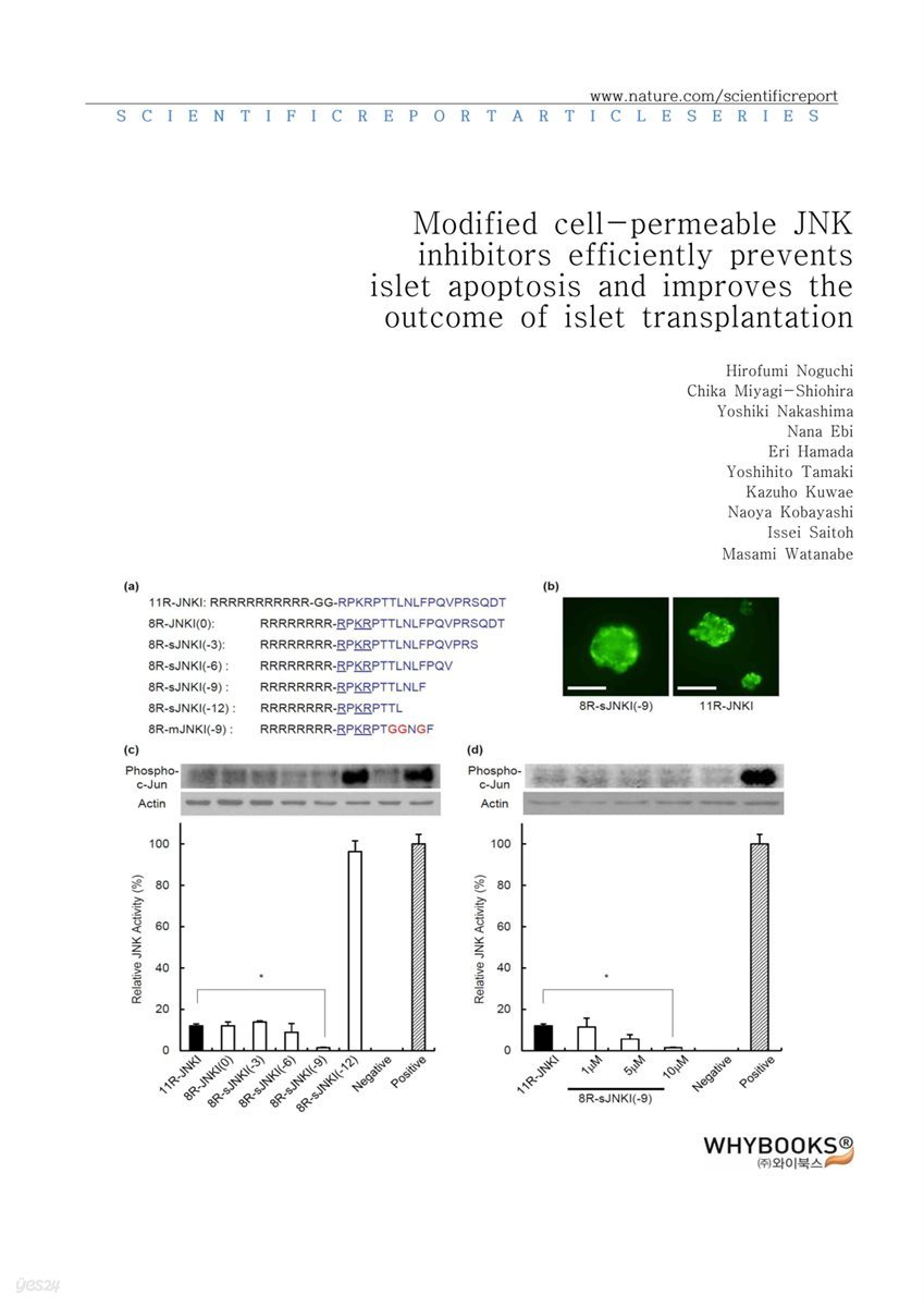 Modified cell-permeable JNK inhibitors efficiently prevents islet apoptosis and improves the outcome of islet transplantation