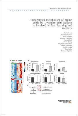 Hippocampal metabolism of amino acids by L-amino acid oxidase is involved in fear learning and memory