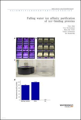 Falling water ice affinity purification of ice-binding proteins