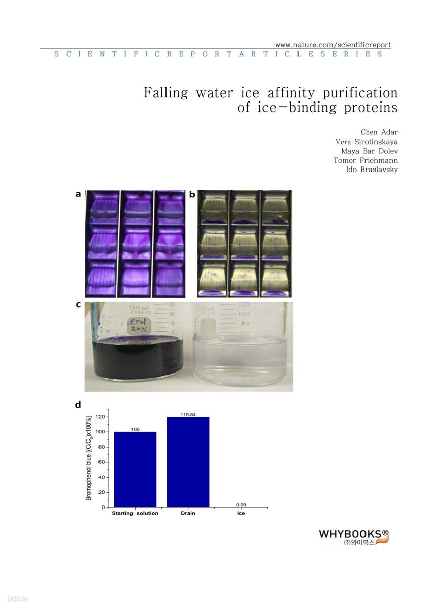 Falling water ice affinity purification of ice-binding proteins