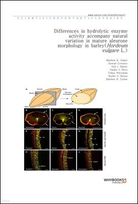 Differences in hydrolytic enzyme activity accompany natural variation in mature aleurone morphology in barley (Hordeum vulgare L.)