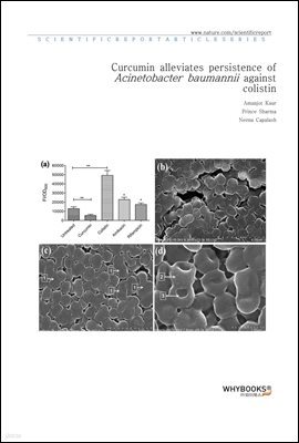 Curcumin alleviates persistence of Acinetobacter baumannii against colistin