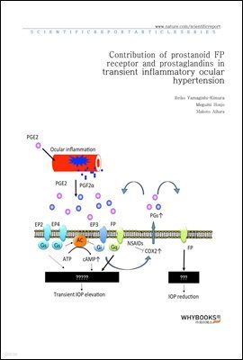 Contribution of prostanoid FP receptor and prostaglandins in transient inflammatory ocular hypertension