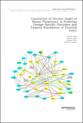 Construction of Discrete Model of Human Pluripotency in Predicting Lineage-Specific Outcomes and Targeted Knockdowns of Essential Genes