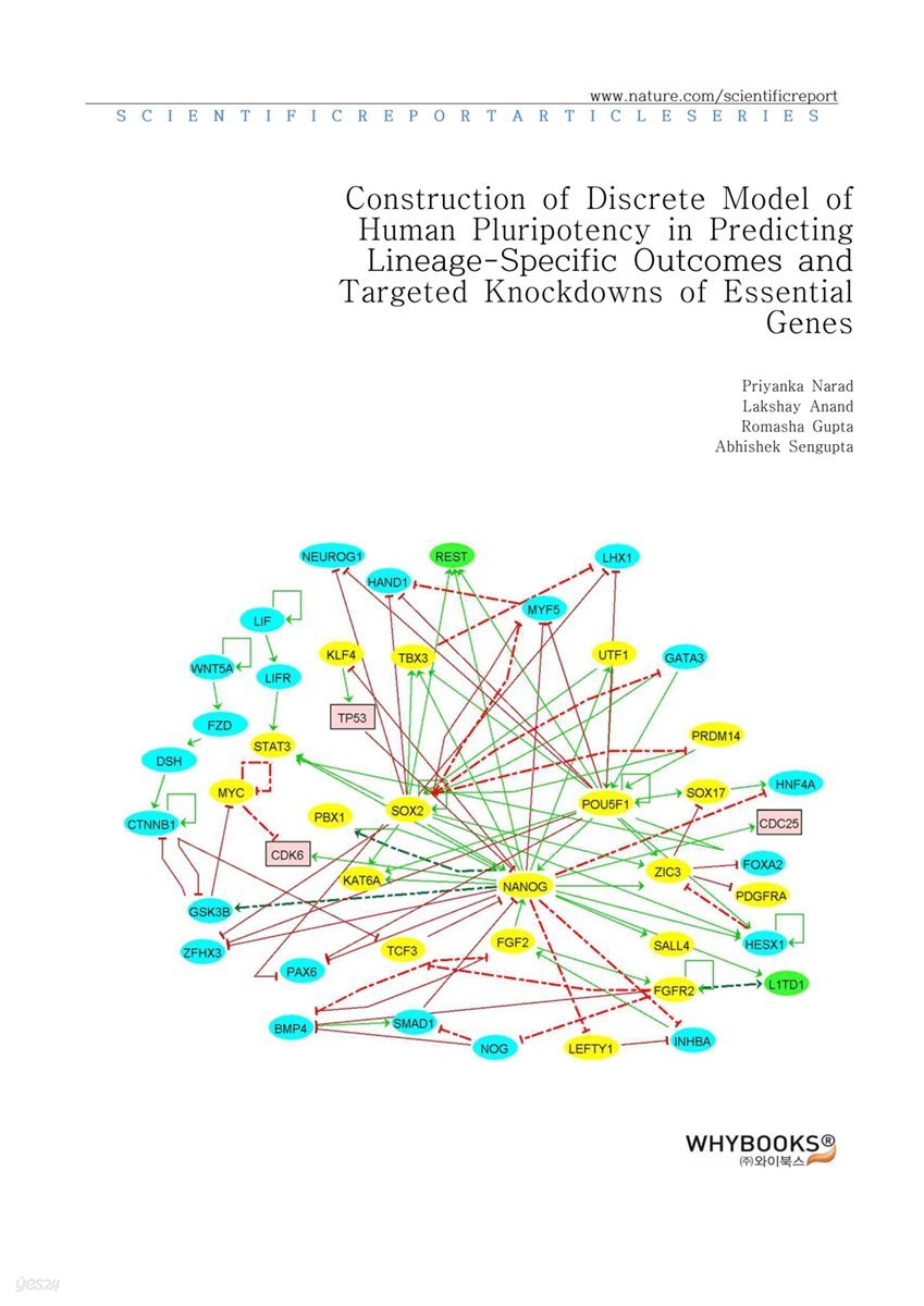 Construction of Discrete Model of Human Pluripotency in Predicting Lineage-Specific Outcomes and Targeted Knockdowns of Essential Genes