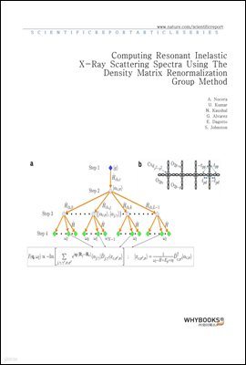 Computing Resonant Inelastic X-Ray Scattering Spectra Using The Density Matrix Renormalization Group Method