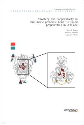 Allostery and cooperativity in multimeric proteins bond-to-bond propensities in ATCase