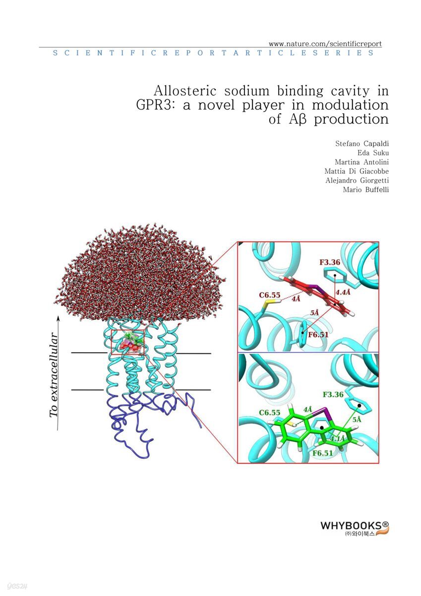 Allosteric sodium binding cavity in GPR3 a novel player in modulation of Aβ production