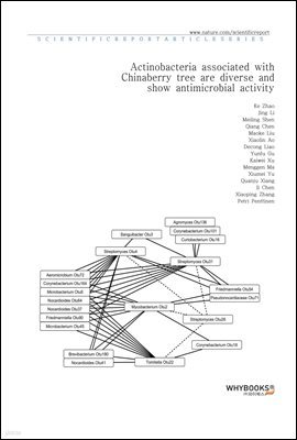 Actinobacteria associated with Chinaberry tree are diverse and show antimicrobial activity