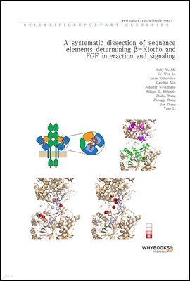 A systematic dissection of sequence elements determining -Klotho and FGF interaction and signaling